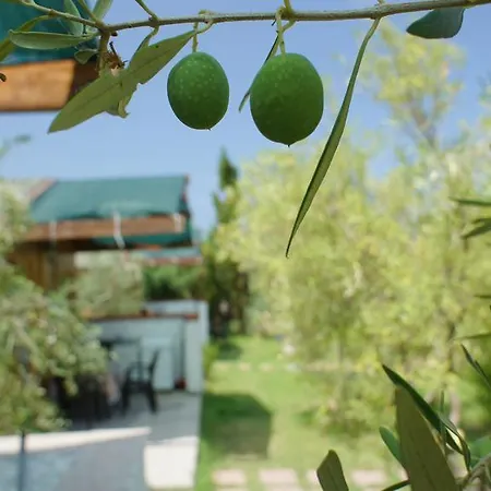 Vakantieboerderij Tres Montes Sorso