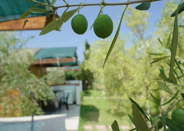 Farmház Tres Montes Sorso